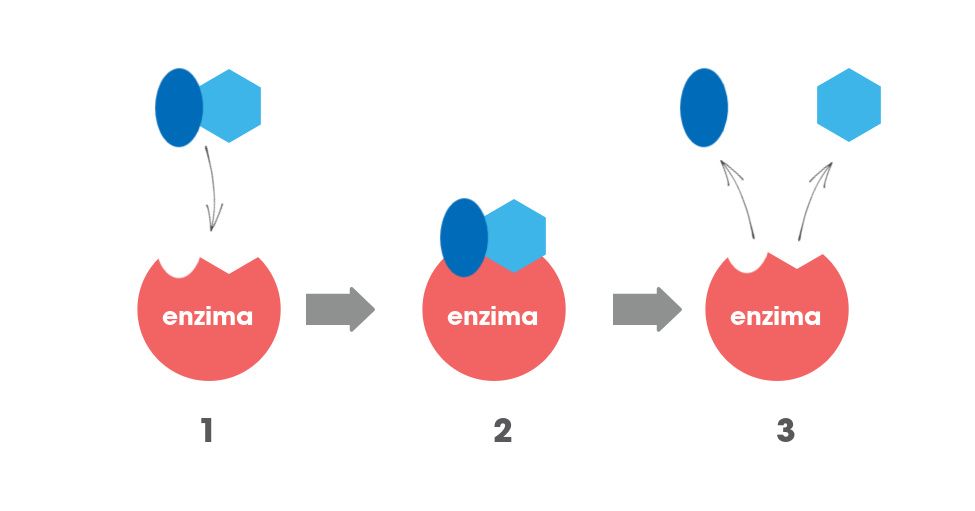 intolerancia alimentaria sintomas